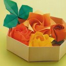 Kawasaki: Rose Dream Origami - mit DVD