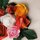 Kawasaki: Rose Dream Origami - mit DVD