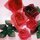 Kawasaki: Rose Dream Origami - mit DVD