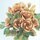 Suzuki: Bara no Origami Twist Rose