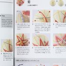 Temari, japanische Fadenbälle, Anleitungsbuch
