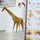 Fukui: Realistische Origami Landtiere