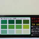 TANT Gr�n-Mix 35 cm 12 Blatt