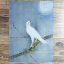 Sichtfolie, Prospekth�lle A4 Shin (Morgend�mmerung)