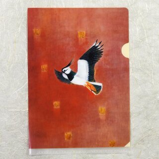 Sichtfolie, Prospekth�lle B6 Mau (Tanzen, Motiv Kibitz)