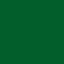 Double Color Origami grn-grn