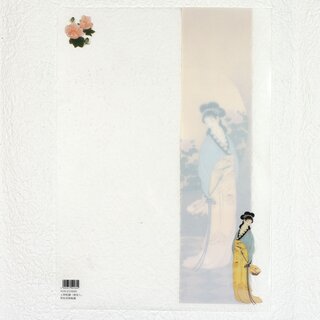 Sichtfolie, Prospekth�lle A4 Toubijin