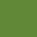 Origamipapier grasgrn