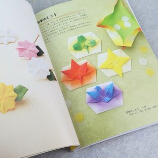 Fujimoto: Pocket Origami - Kleine Origamitaschen