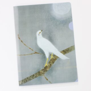 Sichtfolie, Prospekth�lle B6 Shin (Morgend�mmerung)