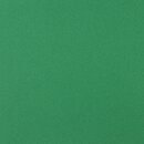 TANT grn 20 cm, 20 Blatt