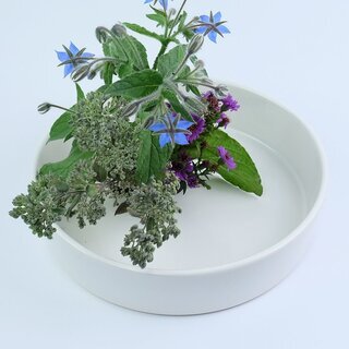 Ikebanaschale 28 cm, Basisschale wei�
