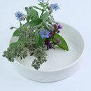 Ikebanaschale 28 cm, Basisschale weiß