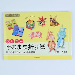 Kobayashi: Kleine Origamisachen für Einsteiger