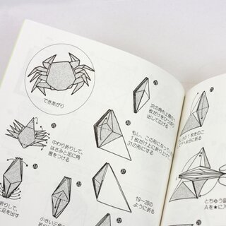 Asobi-Origami, Taschenbuch