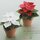 Yamaguchi: Flower Origami