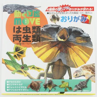 Origamipapier mit Anleitungheft für Amphibien