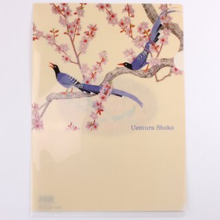 Sichtfolie, Prospekth�lle A4 Shunki