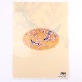 Sichtfolie, Prospekth�lle A4 Shunki