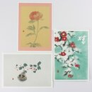 Postkartenset Kamelie