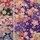 Tezome Yuzen Washi 15 cm