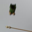 Schleuderspiel Frosch