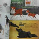 Yamaguchi: New Generation of Origami