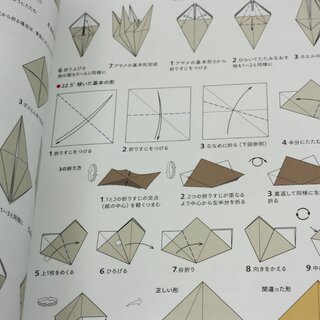 Kazutaka: Origami Rose & Kusudama