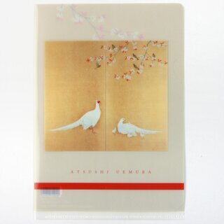 Sichtfolie, Prospekth�lle B6 Shikikachouzu