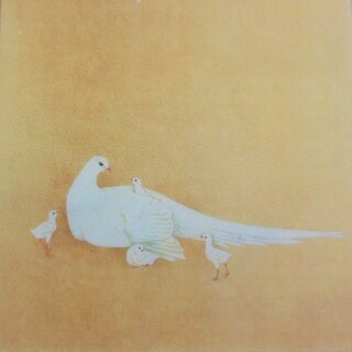 Sichtfolie, Prospekth�lle B6 Shikikachouzu