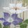 Wandbehang Clematis 45 x 120 cm