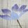 Wandbehang Clematis 45 x 120 cm