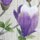 Wandbehang Magnolie 30 x 100 cm
