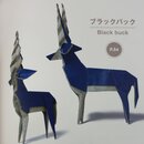 Kawahata: Chouzoukei Origami- Super Gestaltung