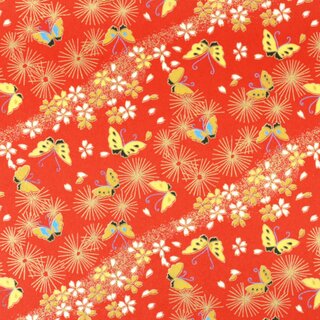 Washibogen Schmetterling 55 x 80 cm