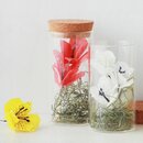 Takahashi: Schmückendes aus Blumenorigami