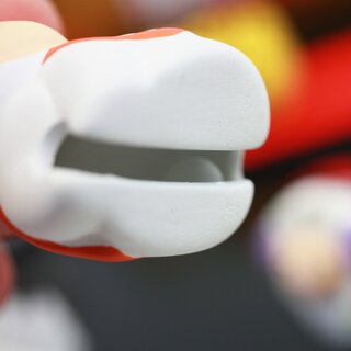 Jahrestier-Reigen, gro� - die zw�lf Erdzweige