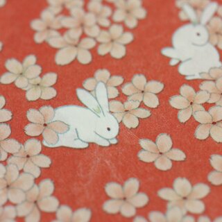 A4 Washi H�schen 21 x 29,7 cm, 12 Blatt