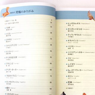 Yamaguchi: New Generation of Origami (Kyukyoku no origami)
