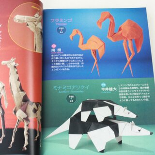 Yamaguchi: New Generation of Origami (Kyukyoku no origami)