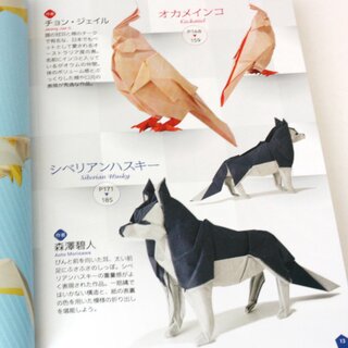 Yamaguchi: New Generation of Origami (Kyukyoku no origami)