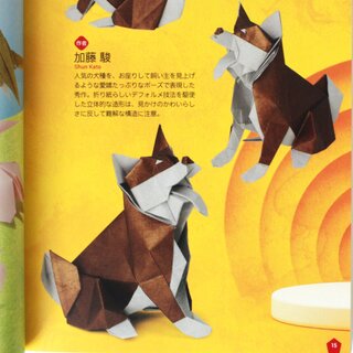 Yamaguchi: New Generation of Origami (Kyukyoku no origami)