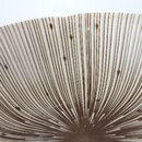 Schale Shiro Tokusa, 14 cm Ø