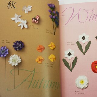 Takahashi: Nanahoshis Blumen Origami