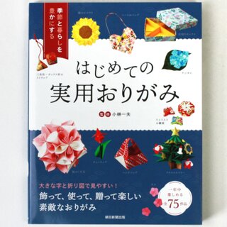 Kobayashi: Praktische Origami Basismodelle