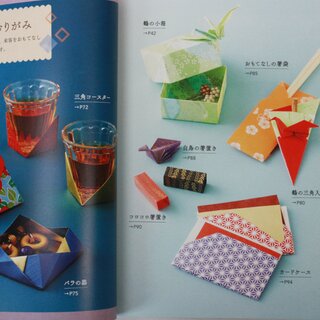 Kobayashi: Praktische Origami Basismodelle