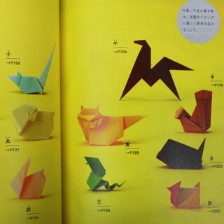 Kobayashi: Praktische Origami Basismodelle