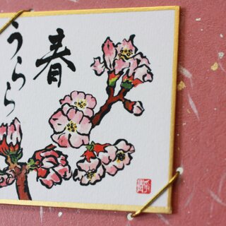 Bild-Grußkarte Kirschblüte