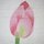 Wandbehang  Lotus 45 x 120 cm