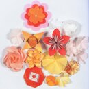 Müller: Fold & Bloom